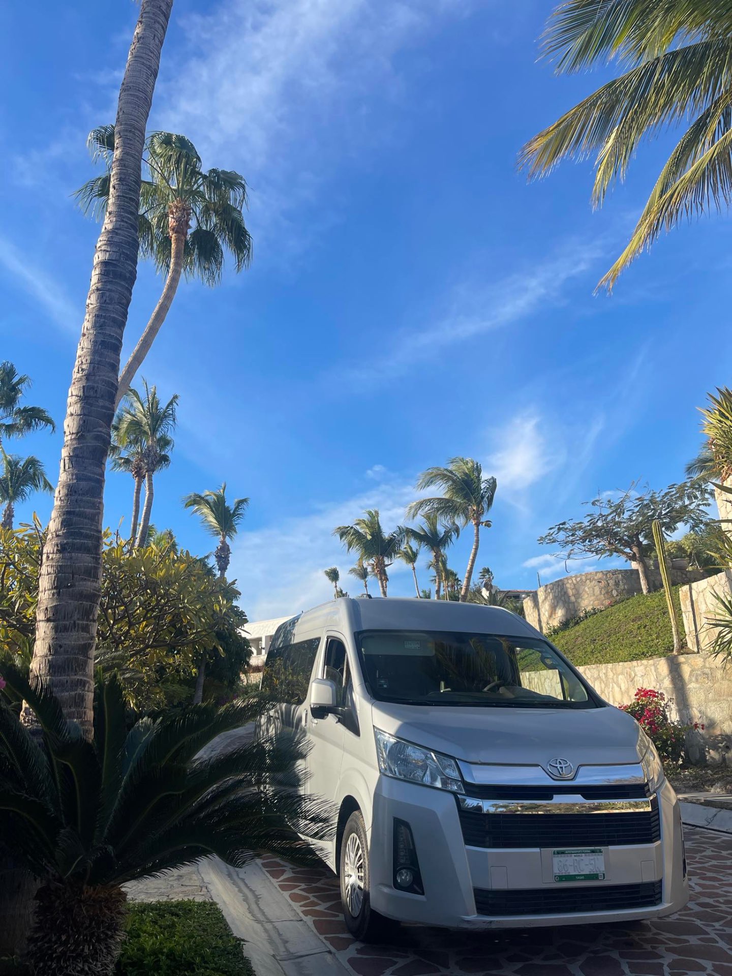 Premium van under Cabo palm trees